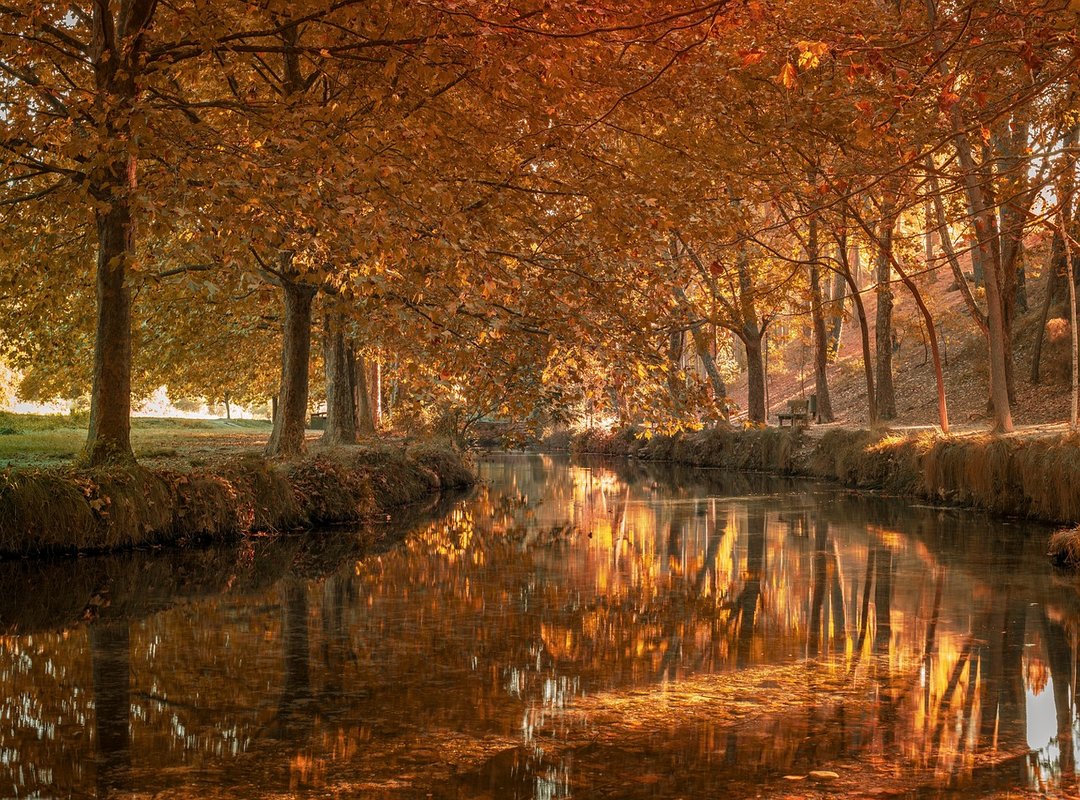 Las Mejores Formas de Convertir y Enviar Dinero de Perú a Chile