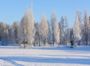 wilma sakky kuopio